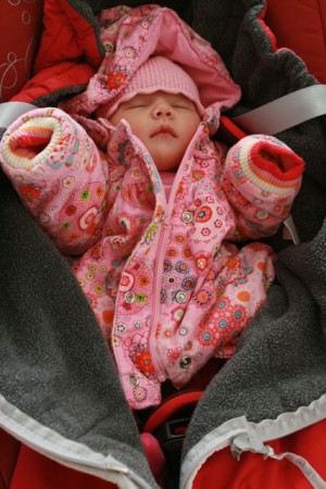 ALIX, retour à la maison